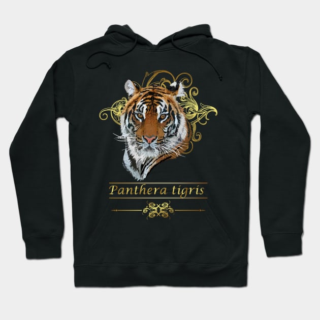 Bengal tiger Hoodie by obscurite